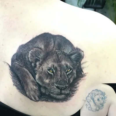 Значение татуировки льва у мужчин: символика, история и особенности выбора  мотива - tattopic.ru