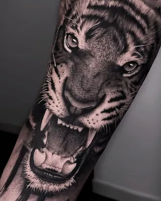 фото мужской татуировки на руке в стиле графика реализм оскал тигра / Тату  салон «Дом Элит Тату»