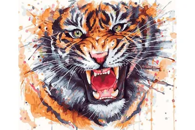 Тигр оскал эскиз - 83 фото