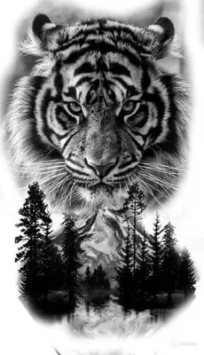 Тату морда тигра лицо девушки …» — создано в Шедевруме