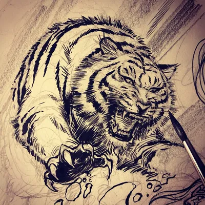 Рисунки для тату тигра на руке (48 фото) » рисунки для срисовки на  Газ-квас.ком