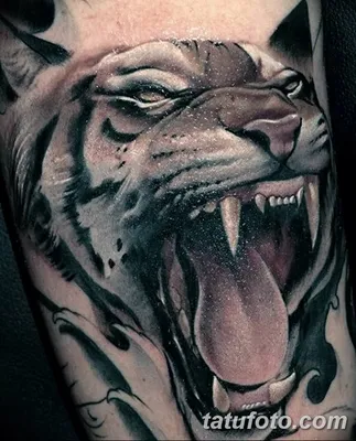 Тату Тигр - фото, эскизы татуировки Тигр, значение | Сделать тату Тигр в  СПб - Art of Pain