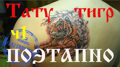 Раскраски тату тигра (50 фото) » Картинки, раскраски и трафареты для всех -  Klev.CLUB