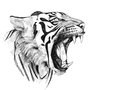 Тату тигр: значения, стили и эскизы, где набить татуировку