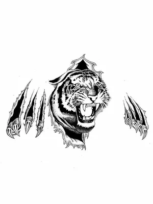 Тату тигра на плече мужские: идеи и рекомендации - fotovam.ru