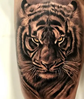 Тату тигр: значение для мужчин - tattopic.ru