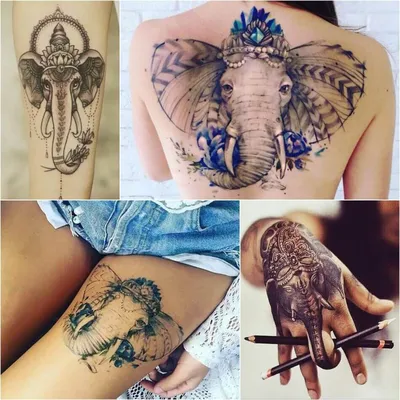 Тату Слон – Значение Тату Слона | Tattoo-ideas.ru | Дзен
