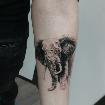 Что означает татуировка слон? | otatu.ru | Дзен