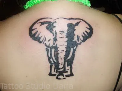 Татуировка женская графика на предплечье слон 2841 | Art of Pain