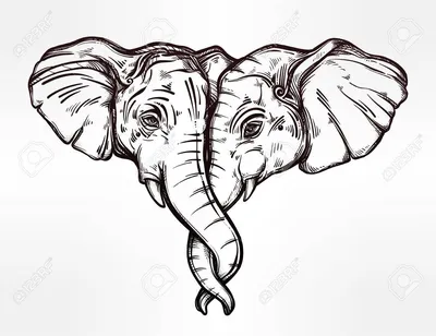 Тату Слон – Значение Тату Слона | Tattoo-ideas.ru | Дзен