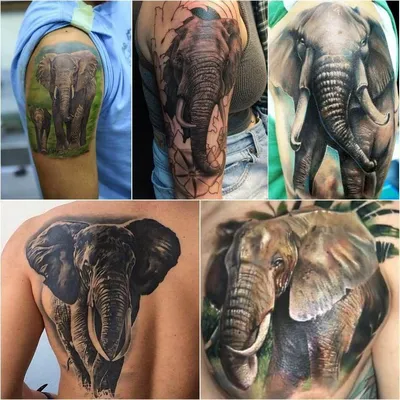 57 Unique Elephant Tattoos With Meaning - Our Mindful Life