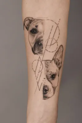 Тату собака. Тату на руке. Тату собака на руке для девушек. 100+ татуировок  и эскизов на сайте… | Татуировки с собакой, Татуировка с собакой,  Изображение татуировок