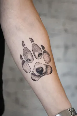 Тату собаки на руке. Татуировка собака на руку. 100+ татуировок и эскизов  на сайте! | Тату, Татуировки, Татуировка на руке