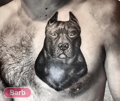 Татуировка реализм портрет собаки клиента