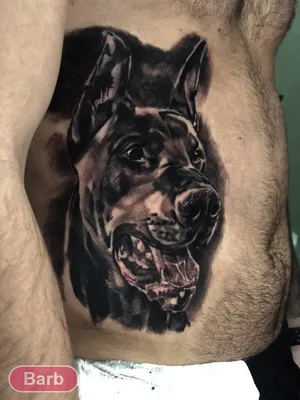 Фото тату собака и сердце сделать в тату салоне в Москве по низкой цене