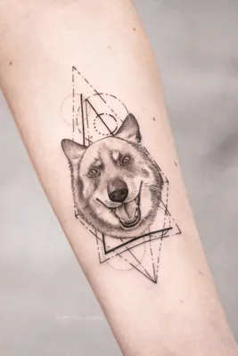 Тату собаки на руке. Татуировка собака на руку. 100+ татуировок и эскизов  на сайте! | Тату, Бель тату, Тату на плече