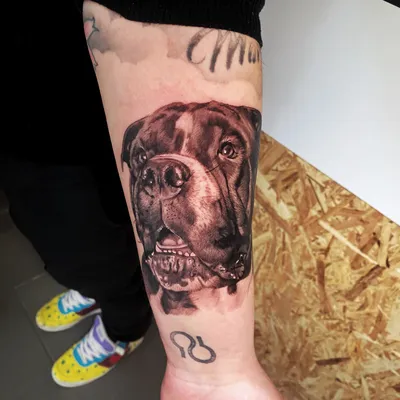 Тату с собакой: эскизы, фото и идеи черных и цветных татуировок собаки