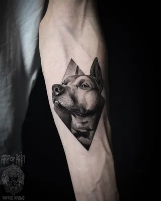 Татуировка мужская реализм на предплечье собака - мастер Анастасия Юсупова  5543 | Art of Pain