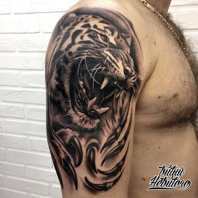 Тигр с голубыми глазами, мужская тату на плече - фото татуировок | Tiger  tattoo, Tiger tattoo sleeve, Animal sleeve tattoo