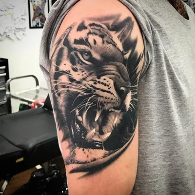Тату тигра на плече Тату на руке Татуировка тигр