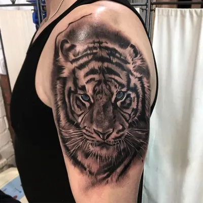 Тату тигр. Тату тигр для мужчин на руке. Больше крутых тату на нашем сайте  11111 | Цветные татуировки, Тату, Татуировки