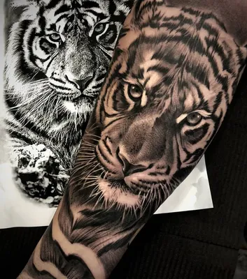 Тату тигр. Тату тигр с цветами для девушки на руке. Больше крутых тату на  нашем сайте 11111 | Татуировки, Тату, Мастер тату