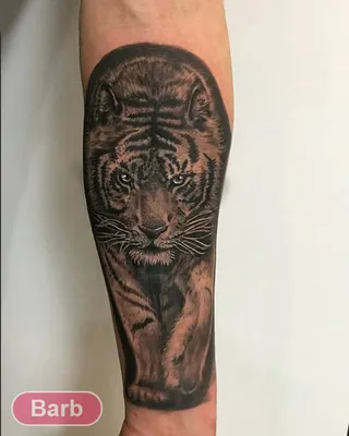 Тату тигр Тату на руке Тигр на руке Тату тигра Татуировка тигра | Tattoos,  Animal tattoo