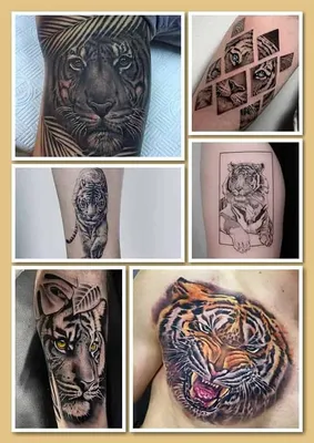Мужские татуировки с тиграми: описание, значение, идеи и фото - tattopic.ru