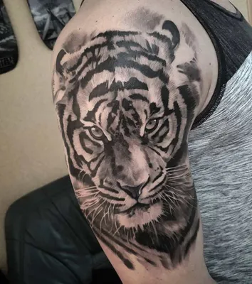 Татуировка тигра на руке - фото высокого разрешения - jpg | Тату тигр на  руке Фото №518796 скачать