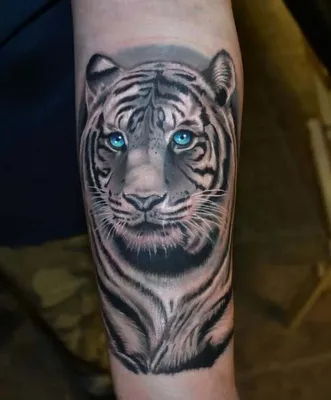 🚩ТАТУ НОВОСИБИРСК | MALEVICH on Instagram: \"🐯ТИГР НА ТЕЛЕ: СИМВОЛ СИЛЫ И  ГРАЦИИ Завораживающая и мощная татуировка тигра на плече этого смелого  мужчины сразу привлекает внимание. Рисунок выполнен в ярких и насыщенных
