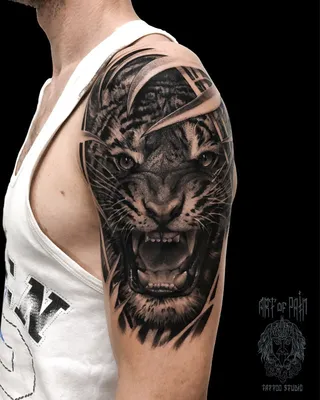 Татуировка мужская реализм на плече тигр - мастер Вячеслав Плеханов 4788 |  Art of Pain
