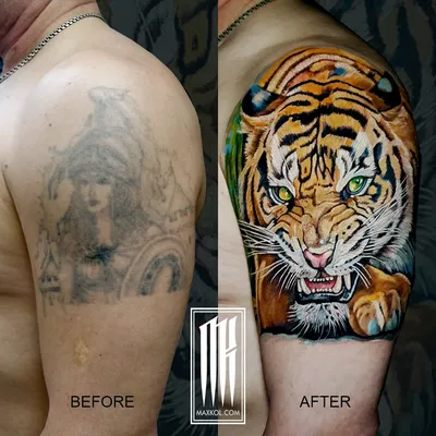 Тигр с голубыми глазами, мужская тату на плече - фото татуировок | Tiger  tattoo, Tiger tattoo sleeve, Tiger tattoo design