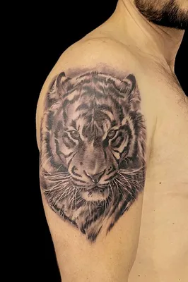 Художественная татуировка «Тигр с часами и розой». Сделать тату у мастера  Вики салон PlayPain.