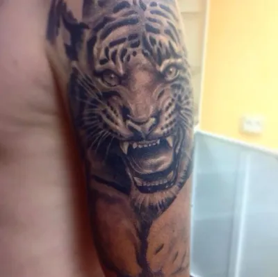 Татуировка черно-белый тигр на плече - фото салона Tattoo Times, узнай цену  на сайте.
