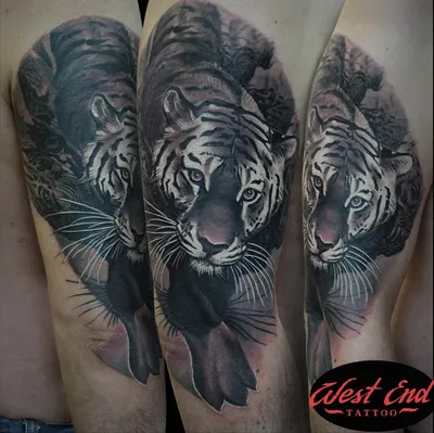 Татушки тигра: татуировки с изображением тигровой страсти - tattopic.ru
