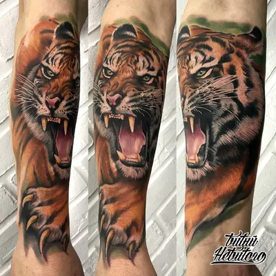 тату тигр на плече | reutov tattoo