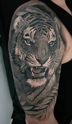 Мужские татуировки на руке с тигром - tattopic.ru
