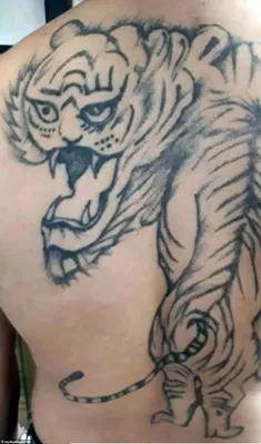 Tattoo • Подборка тату: Тигр на спине (37 фото)
