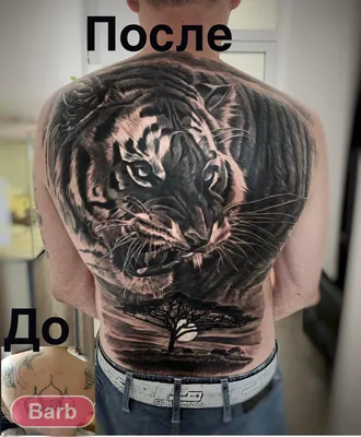 Тату тигра на плече мужские: идеи и рекомендации - fotovam.ru