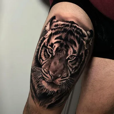 Татуировка тигра стоковое фото ©ufabizphoto 186588748
