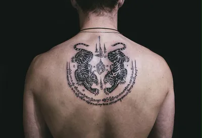 Два тигра и надписи - тату на спине у девушки, добавлено: Иван Вишневский