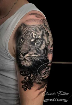 80+ ФОТО] Красивые Тату Тигр для Мужчин и Девушек | Cool arm tattoos, Best  sleeve tattoos, Lion tattoo sleeves