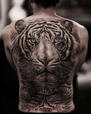 Татуировка тигра на спине: как выбрать и ухаживать - tattopic.ru