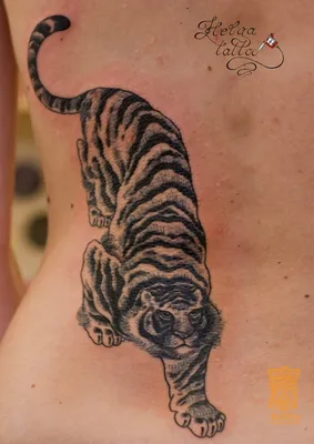 Татуировка мужская графика на предплечье тигр и цветок 946 | Art of Pain