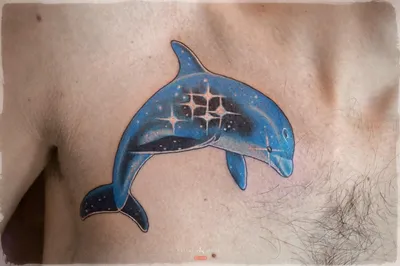 Татуировка на тело цветная Русалка и дельфин 6*6 см - Интернет-магазин  Глобус