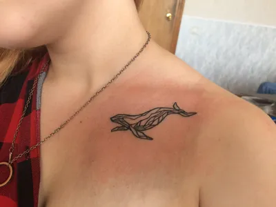 Дельфин морская свинка рисунок татуировка, дельфин, любовь, животные png |  PNGEgg