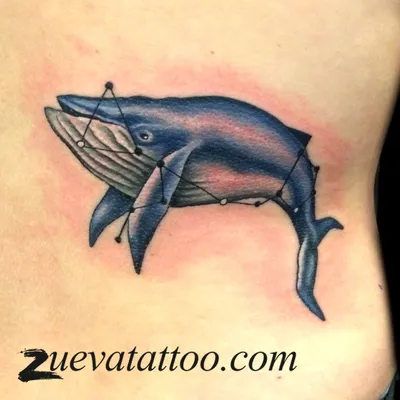 Татуировка на тело \"Черный дельфин\" (4410722) - Купить по цене от 30.00  руб. | Интернет магазин SIMA-LAND.RU