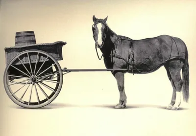 Лошадь с повозкой рисунок - 38 фото