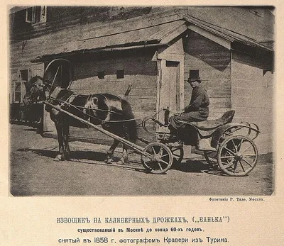 Телега для лошади на резиновом ходу, цена 380 р. купить в Бешенковичах на  Куфаре - Объявление №218528067