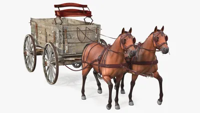 лошадь и повозка в поле, картинка лошади и повозки, багги, перевозка фон  картинки и Фото для бесплатной загрузки